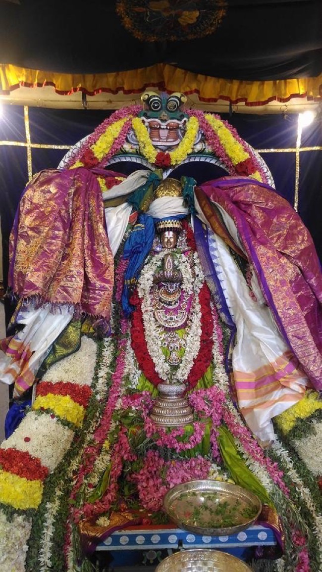 mylapore_madhava_perumal_temple_peiyazhwar_utsavam02