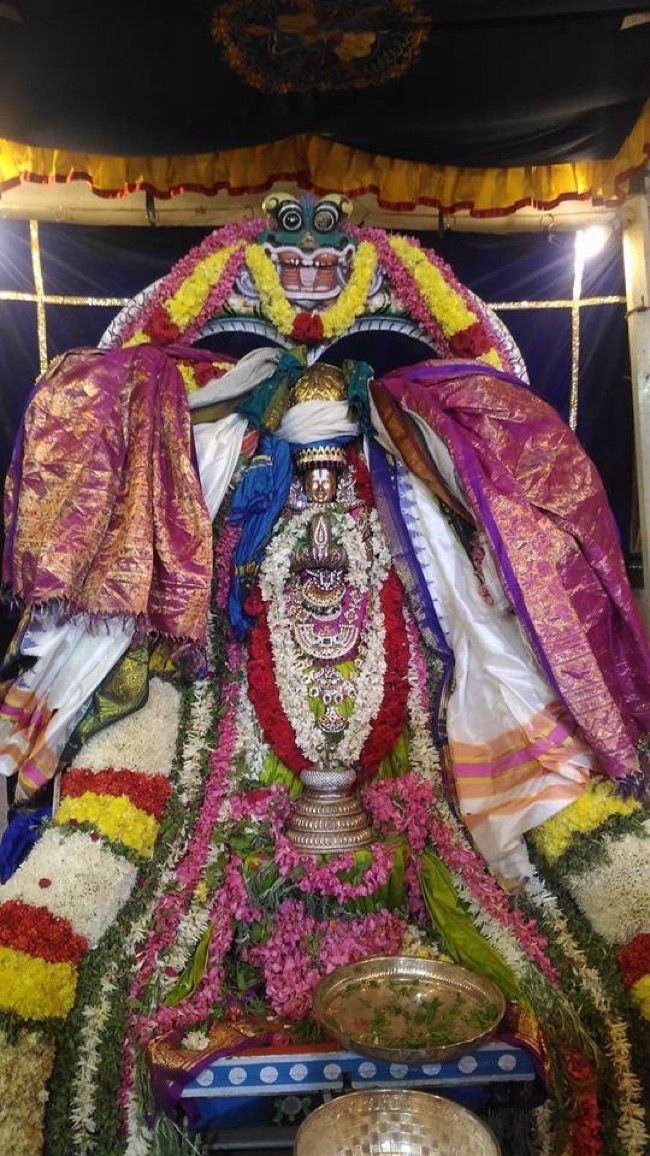 mylapore_madhava_perumal_temple_peiyazhwar_utsavam04
