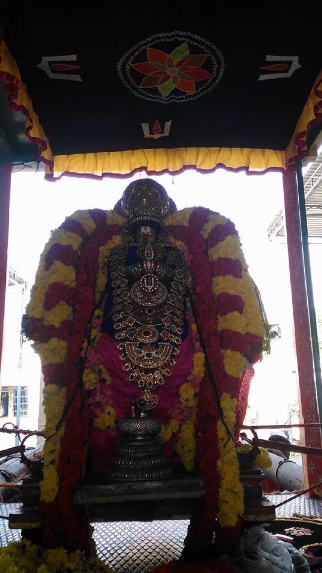mylapore_sri_madhava_perumal_temple_peiyazhwar_utsavam01
