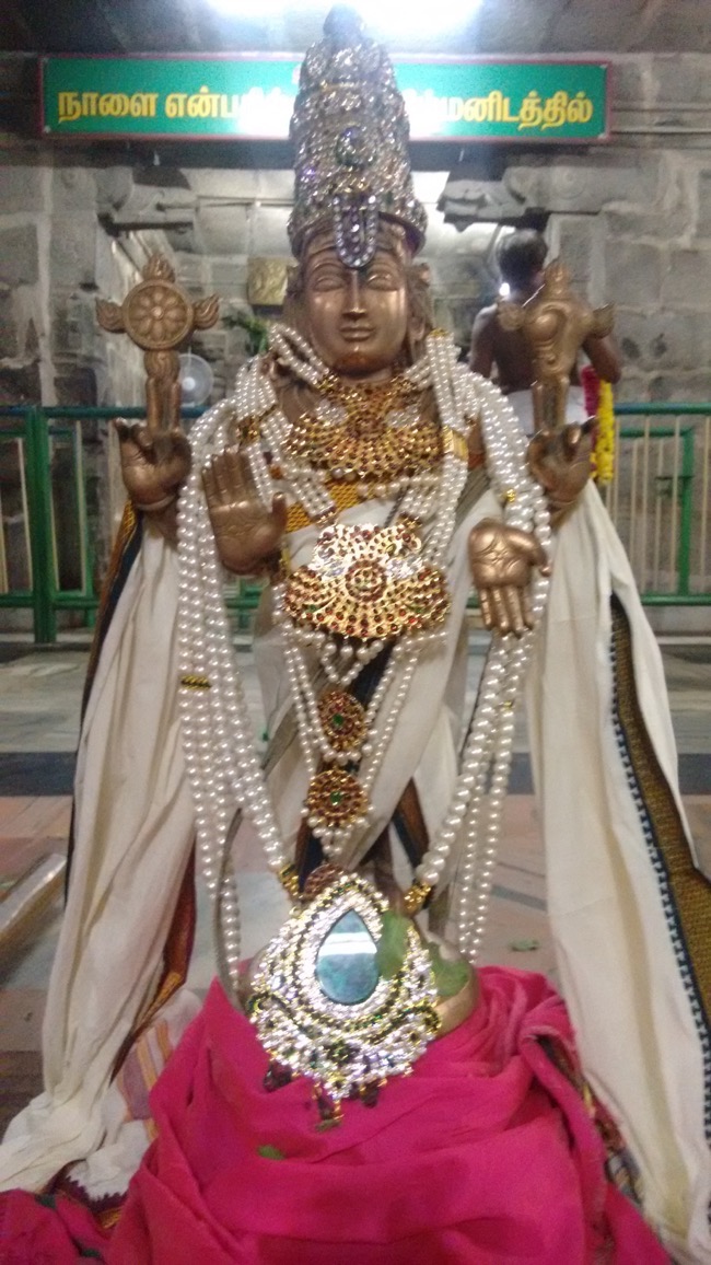 narasingapuram_sri_lakshmi_perumal_temple_swamy_03