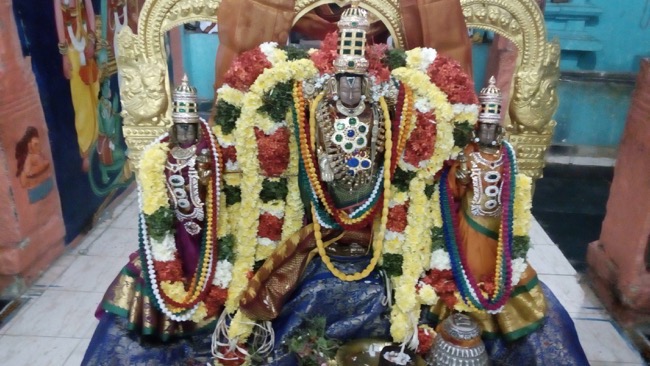 pavitrotsavam_serangulam_sri_venkatachalapathy_perumal_temple_06