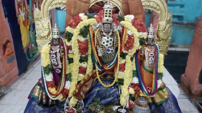 pavitrotsavam_serangulam_sri_venkatachalapathy_perumal_temple_07