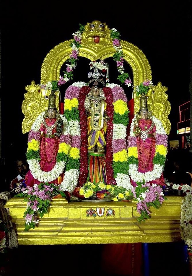 thirukkadalmalai_sri_sthalasayana_perumal_temple_day6_03