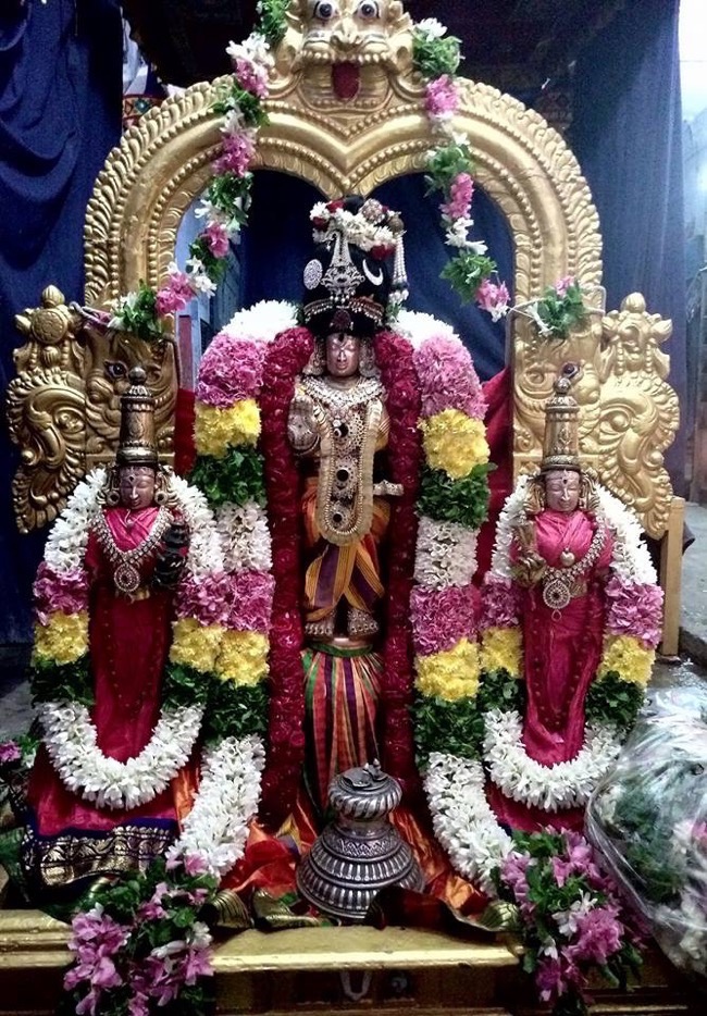 thirukkadalmalai_sri_sthalasayana_perumal_temple_day6_05