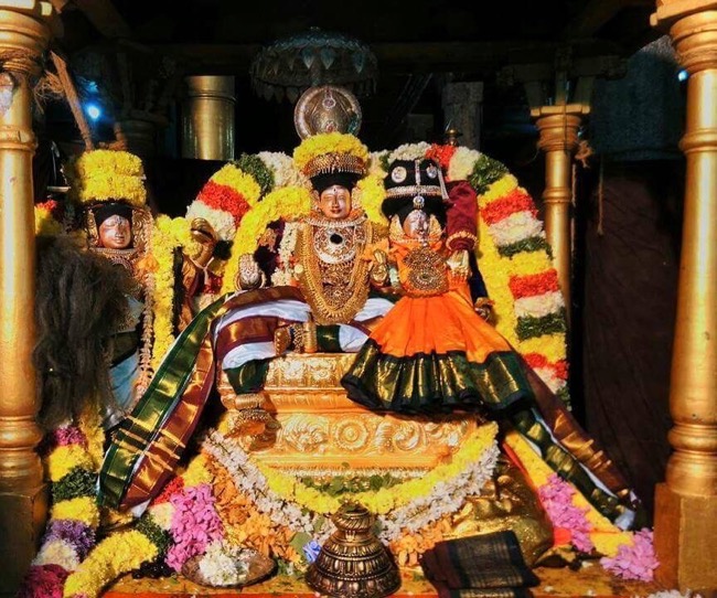 thiruvahindrapuram_sri_devanathan_perumal_temple_dolotsavam02