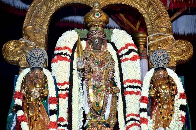 thiruvallikeni_sri_parthasarathy_perumal_temple_amavaasai_purappadu_day5_03