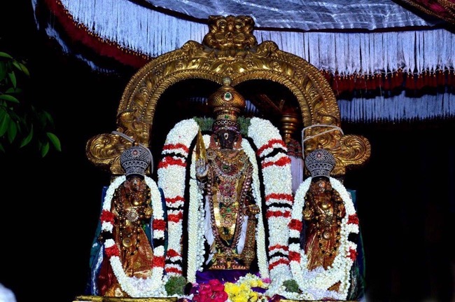 thiruvallikeni_sri_parthasarathy_perumal_temple_amavaasai_purappadu_day5_05