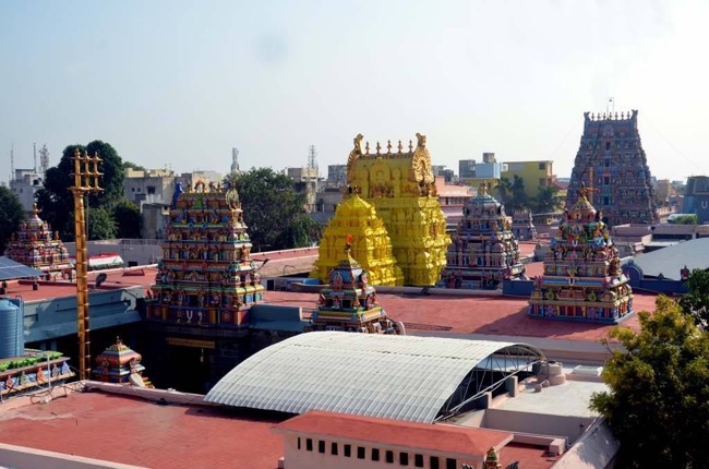 thiruvallikeni_sri_parthasarathy_perumal_temple_day10_01