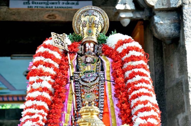 thiruvallikeni_sri_parthasarathy_perumal_temple_day10_10