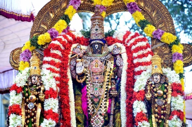 thiruvallikeni_sri_parthasarathy_perumal_temple_day10_12