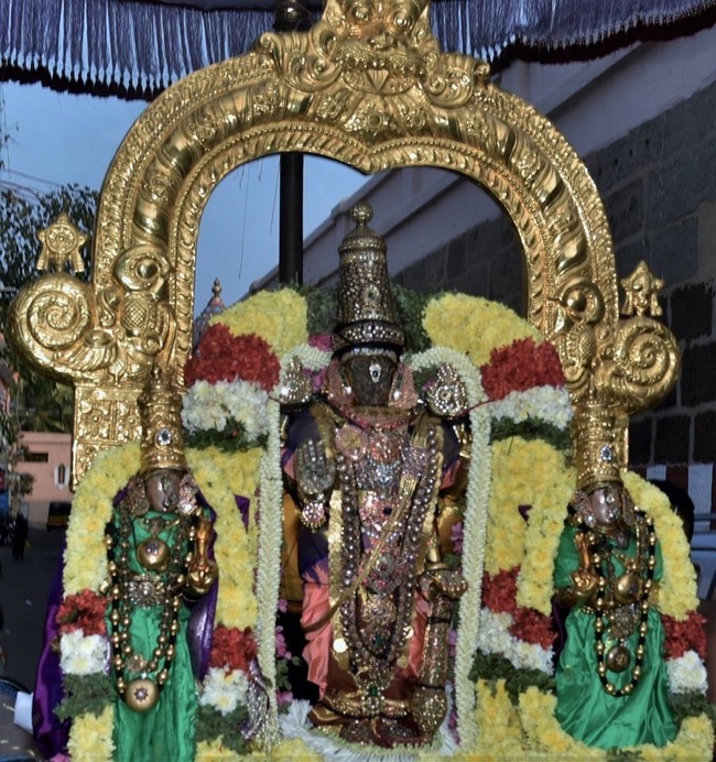 thiruvallikeni_sri_parthasarathy_perumal_temple_peiyazhwar_utsavam21