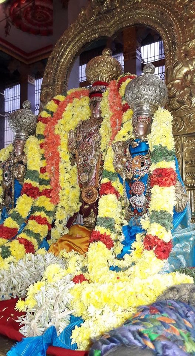 thiruvallur_sri_veeraraghava_perumal_temple_boodathazhwar_utsavam02