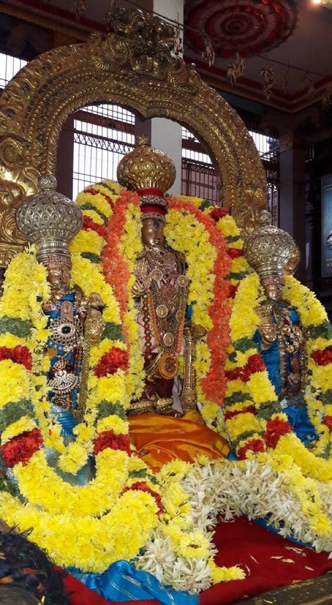 thiruvallur_sri_veeraraghava_perumal_temple_boodathazhwar_utsavam04