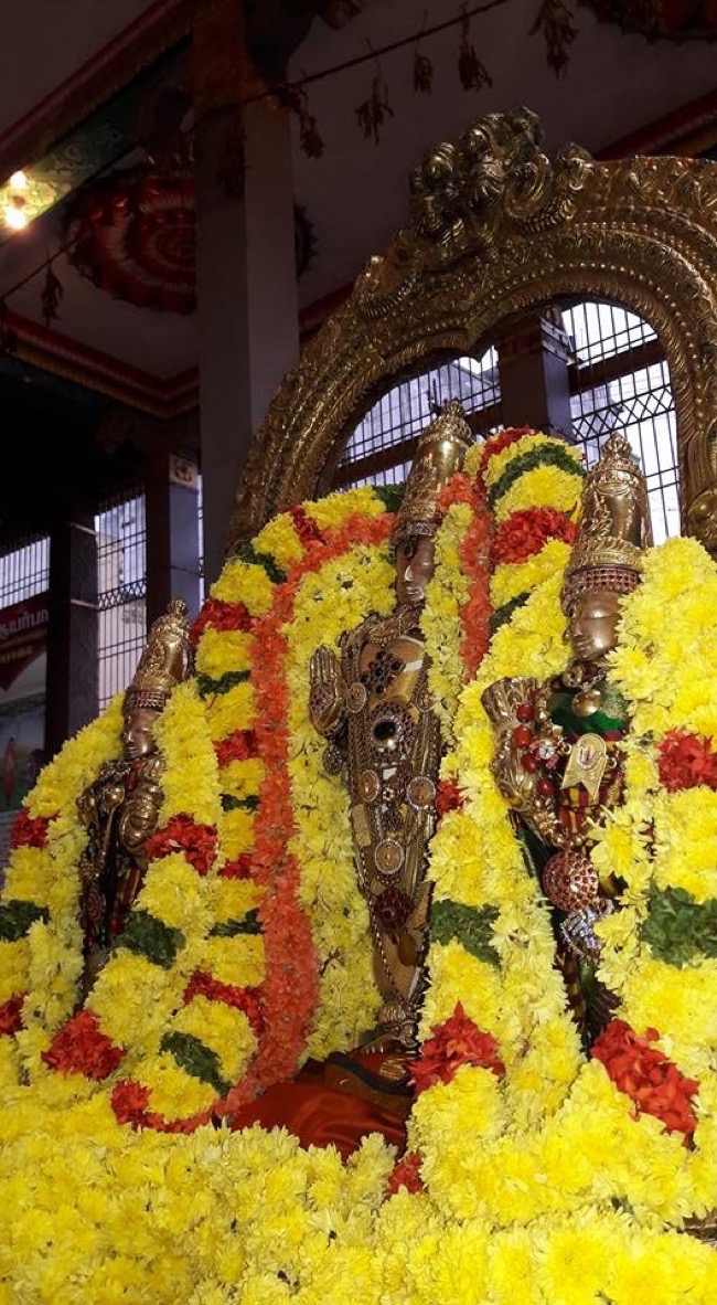 thiruvallur_sri_veeraraghava_perumal_temple_karthigai_masa_purappadu_06