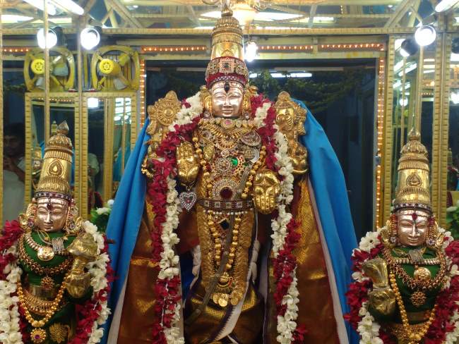 thiruvelukkai-azhagiya-singaperumal-temple-aippasi-swathi-2016016