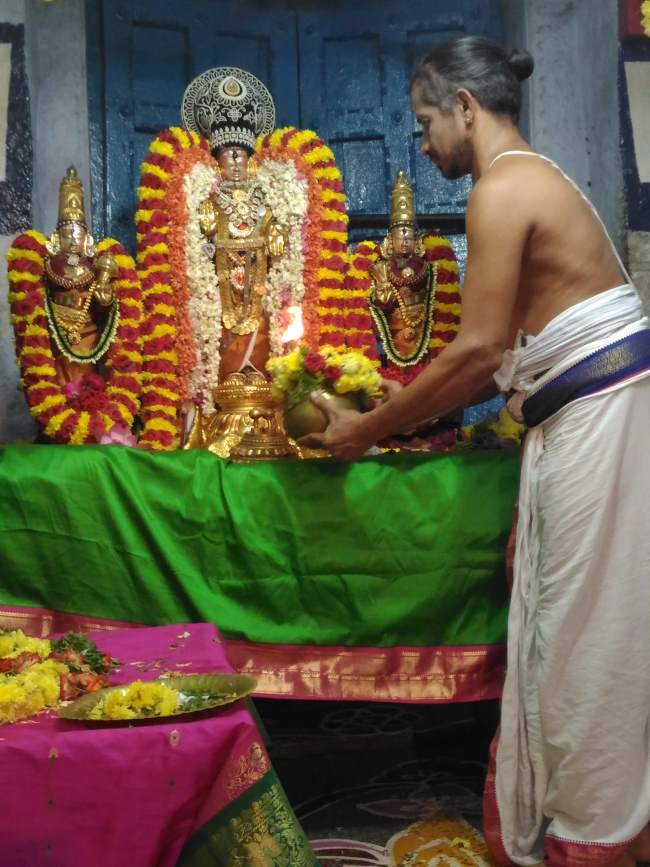 thiruvelukkai-senai-mudhanmayaar-avatara-utsavam-2016024
