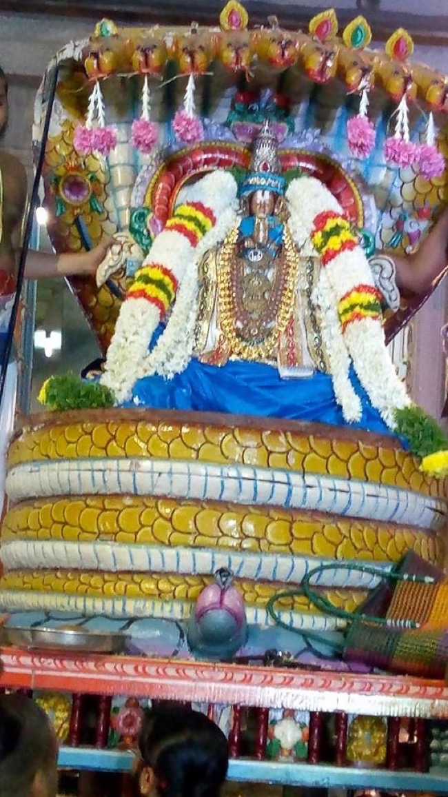 thiruvidanthai_sri_nithya_kalyana_perumal_temple_day4_07