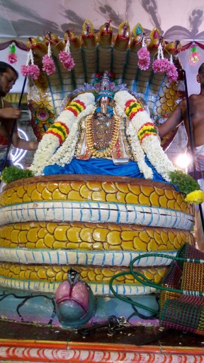 thiruvidanthai_sri_nithya_kalyana_perumal_temple_day4_13