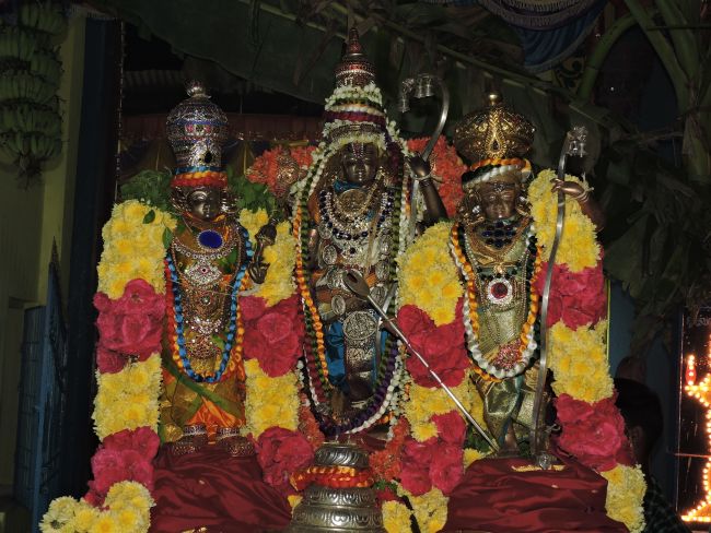 sathurpuja-raman-pavithrothsavam-as-on-17th-oct-16-pm-41