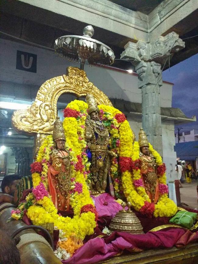 kanchi-sri-devarajaswami8