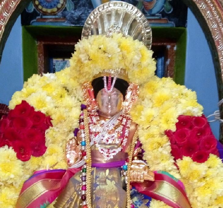 thirukannamangai-swami-desikan-durmukhi-karthikai-purappadu-2016