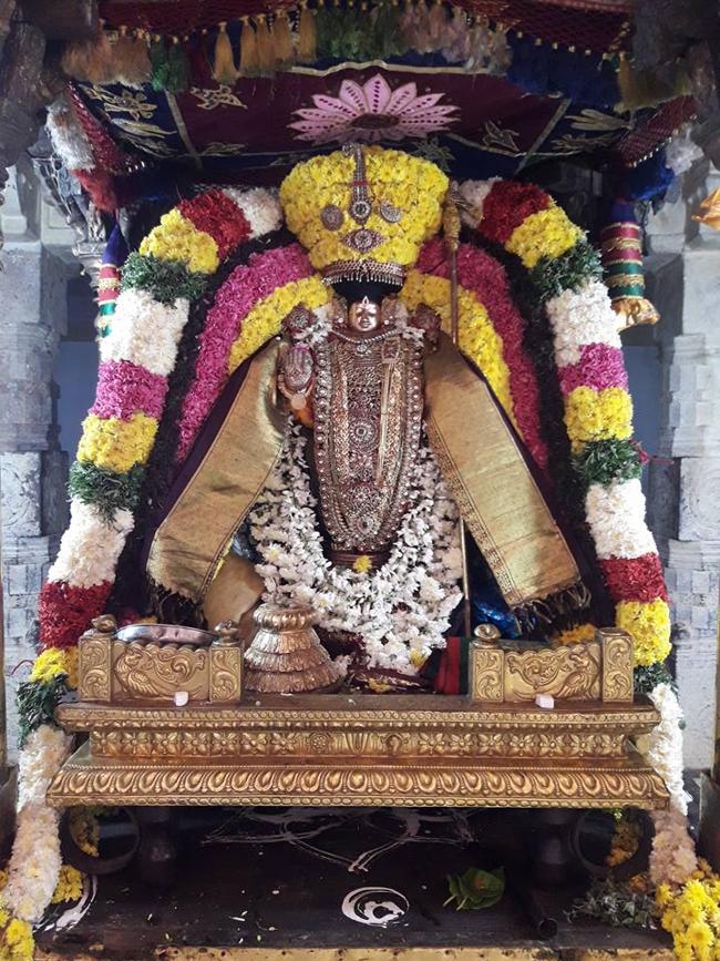 thiruvahindrapuram-sri-devanathan-perumal4