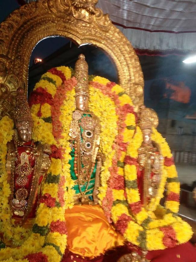 thiruvallur-sri-veeraraghava-perumal