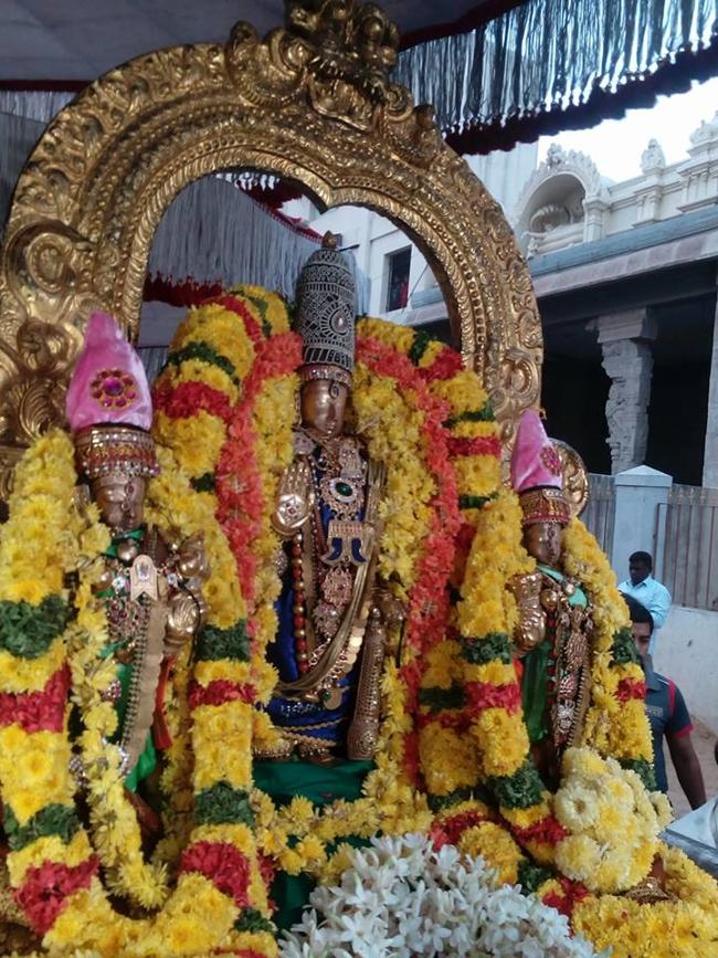 thiruvallur-sri-veeraraghava-perumal2