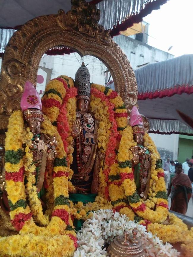 thiruvallur-sri-veeraraghava-perumal3