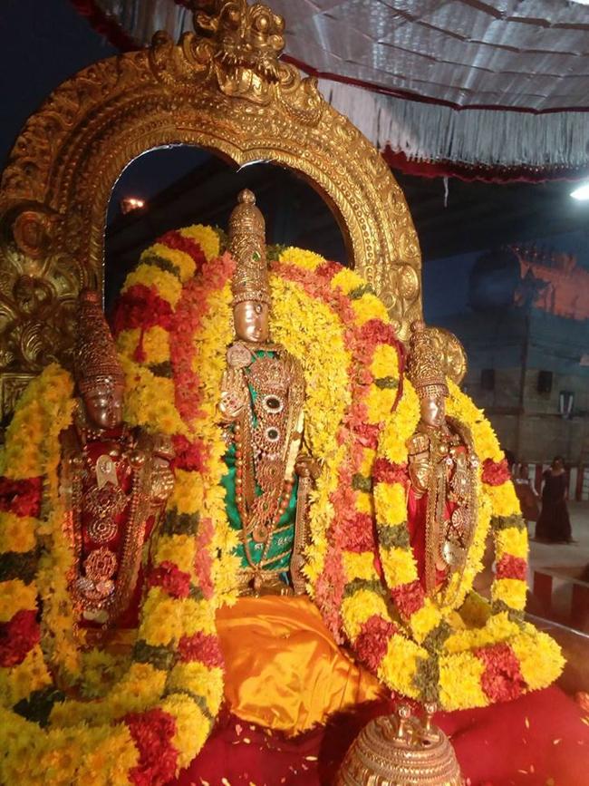 thiruvallur-sri-veeraraghava-perumal3