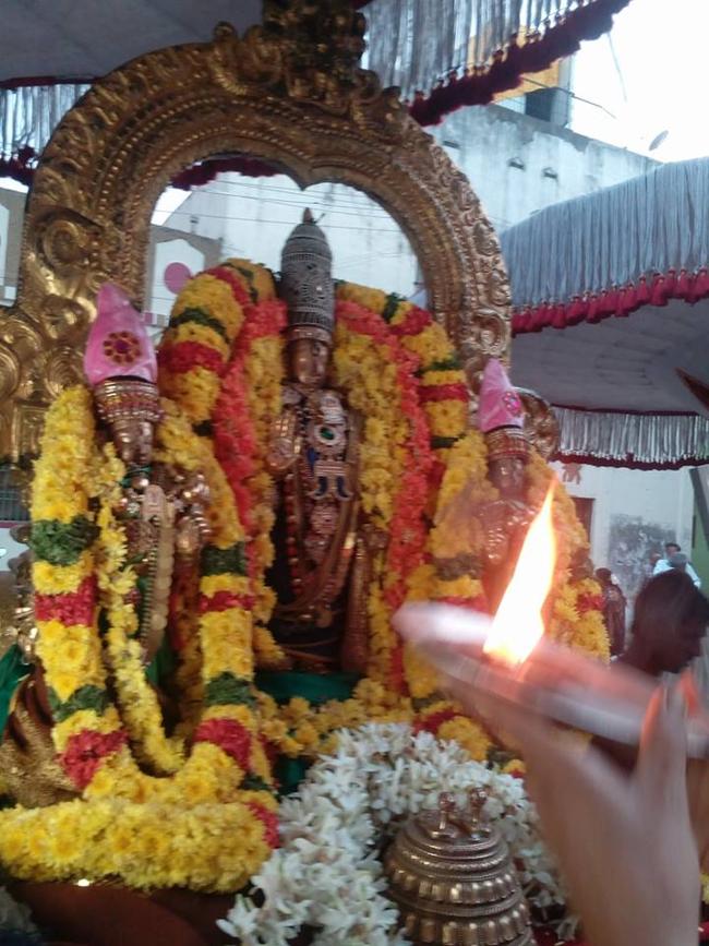 thiruvallur-sri-veeraraghava-perumal9