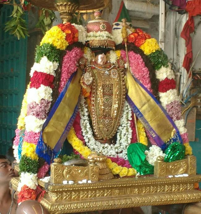 thiruvahindrapuram-sri-devanathan-perumal1