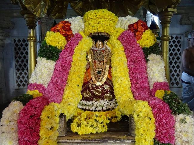 thiruvahindrapuram-sri-devanathan-perumal12