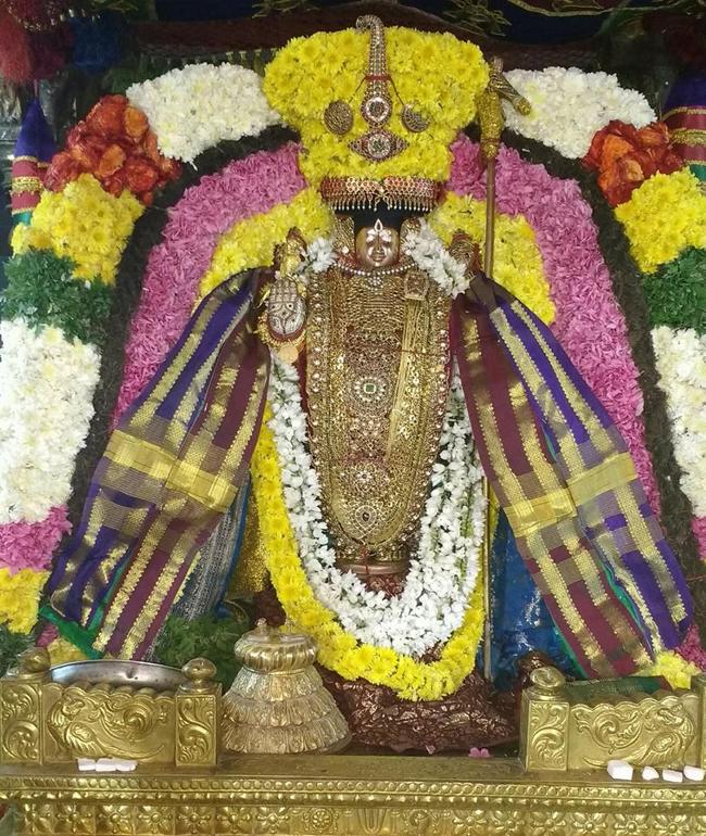 thiruvahindrapuram-sri-devanathan-perumal15