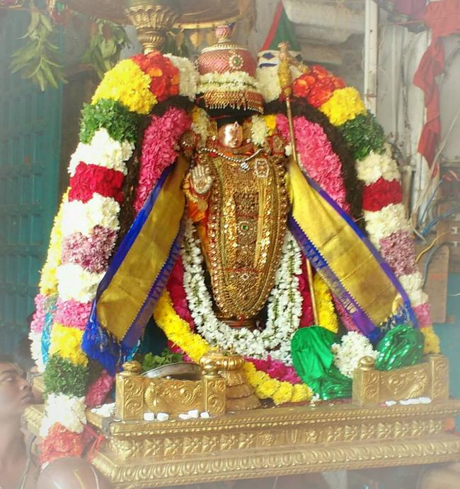 thiruvahindrapuram-sri-devanathan-perumal18