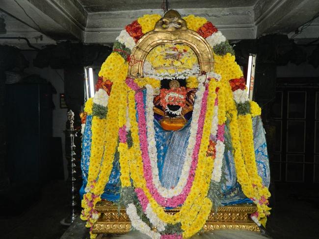 thiruvahindrapuram-sri-devanathan-perumal3