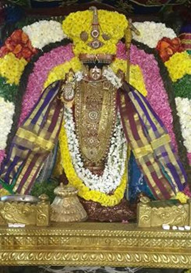 thiruvahindrapuram-sri-devanathan-perumal4