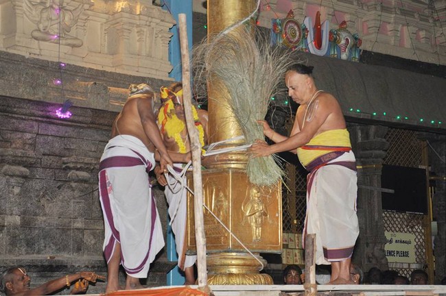 Thiruvallur Sri Veeraraghava Perumal Kovil Durmukhi Varusha Thai Brahmotsavam10