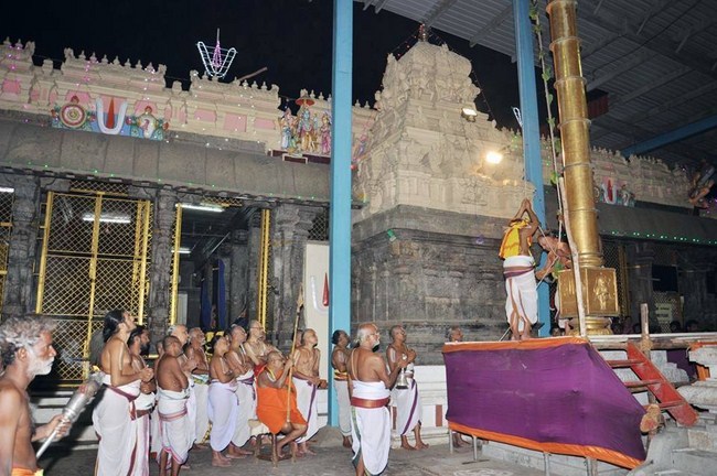 Thiruvallur Sri Veeraraghava Perumal Kovil Durmukhi Varusha Thai Brahmotsavam2