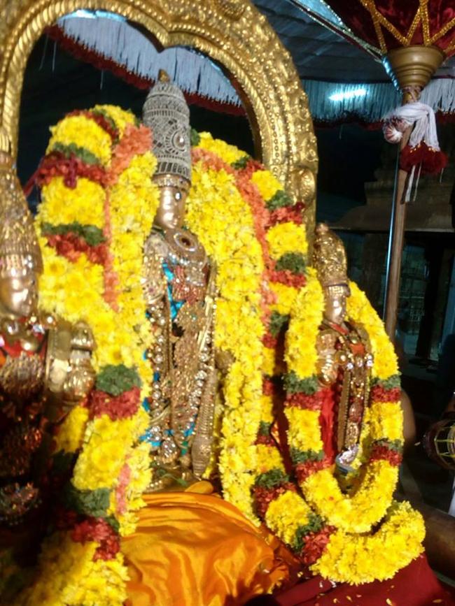 thiruvallur-sri-veeraraghava-perumal11