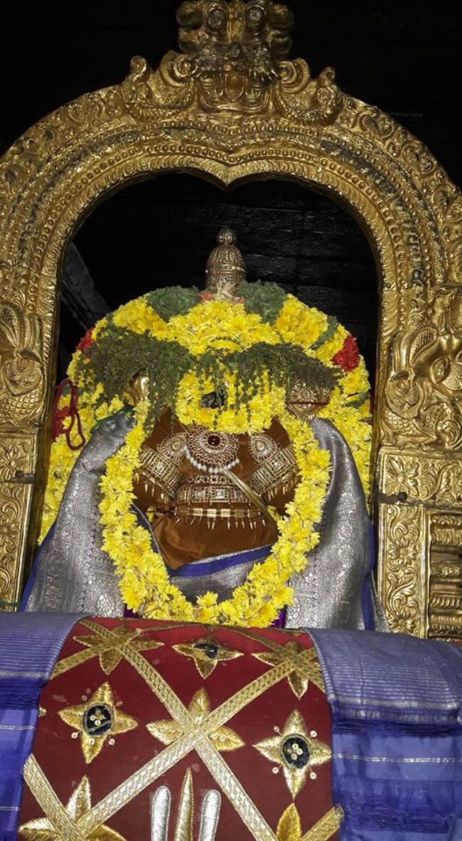 thiruvallur-sri-veeraraghava-perumal14