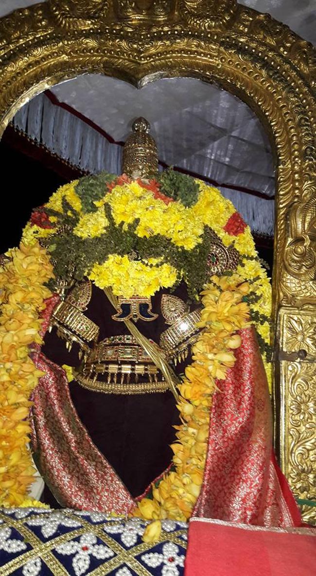 thiruvallur-sri-veeraraghava-perumal14