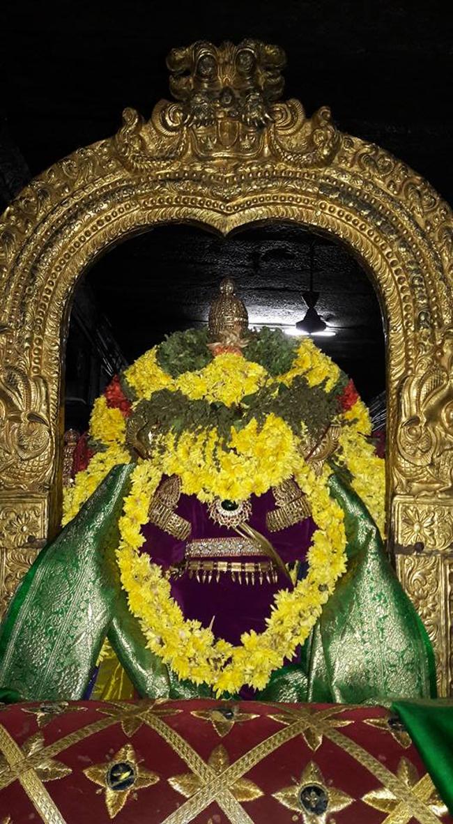 thiruvallur-sri-veeraraghava-perumal
