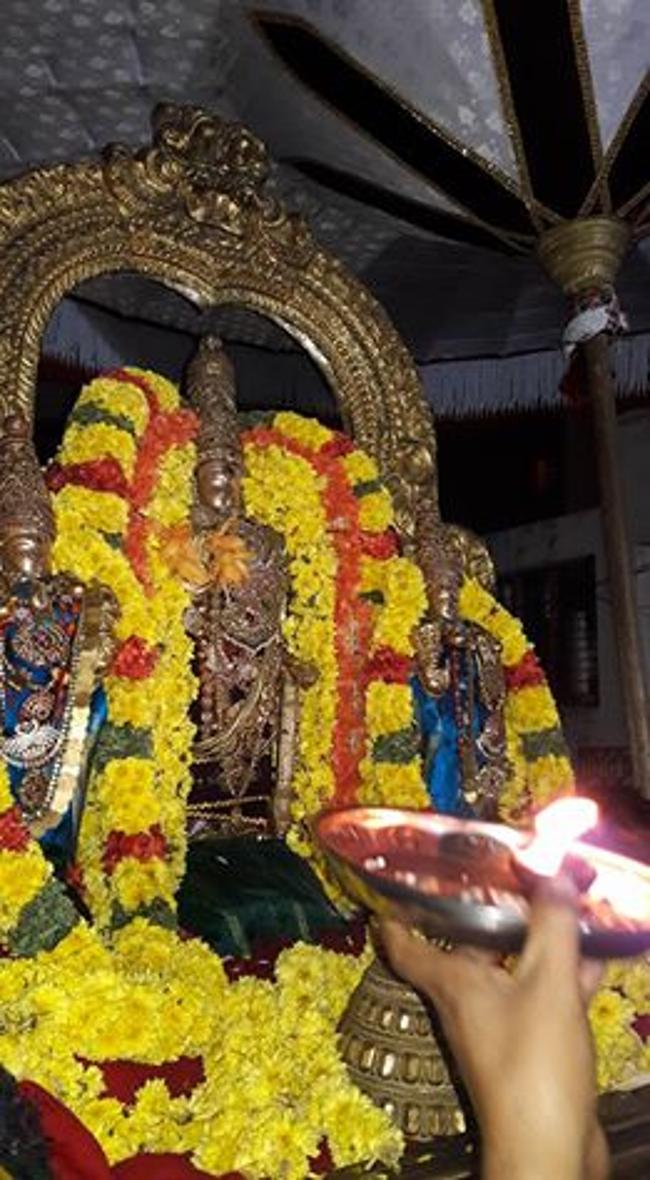 thiruvallur-sri-veeraraghava-perumal15