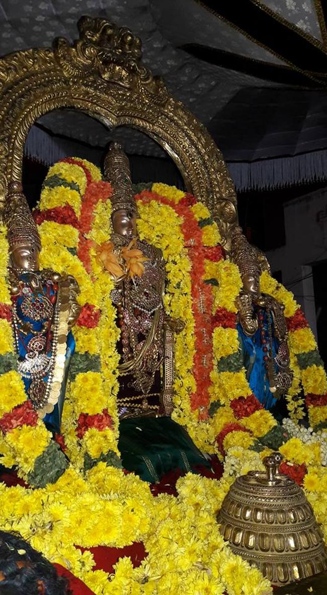 thiruvallur-sri-veeraraghava-perumal17
