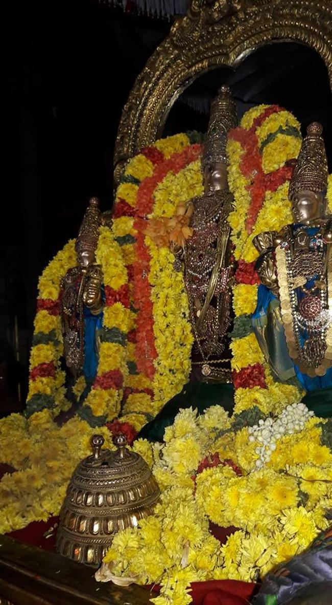 thiruvallur-sri-veeraraghava-perumal19