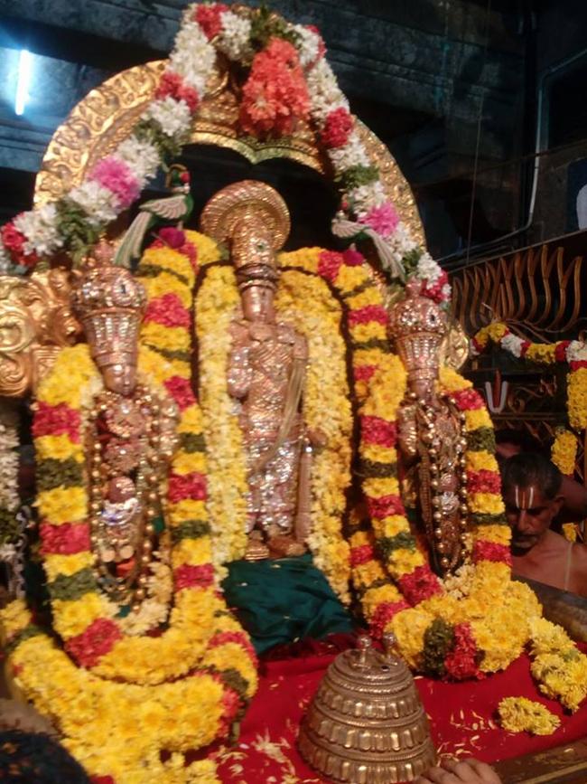 thiruvallur-sri-veeraraghava-perumal22