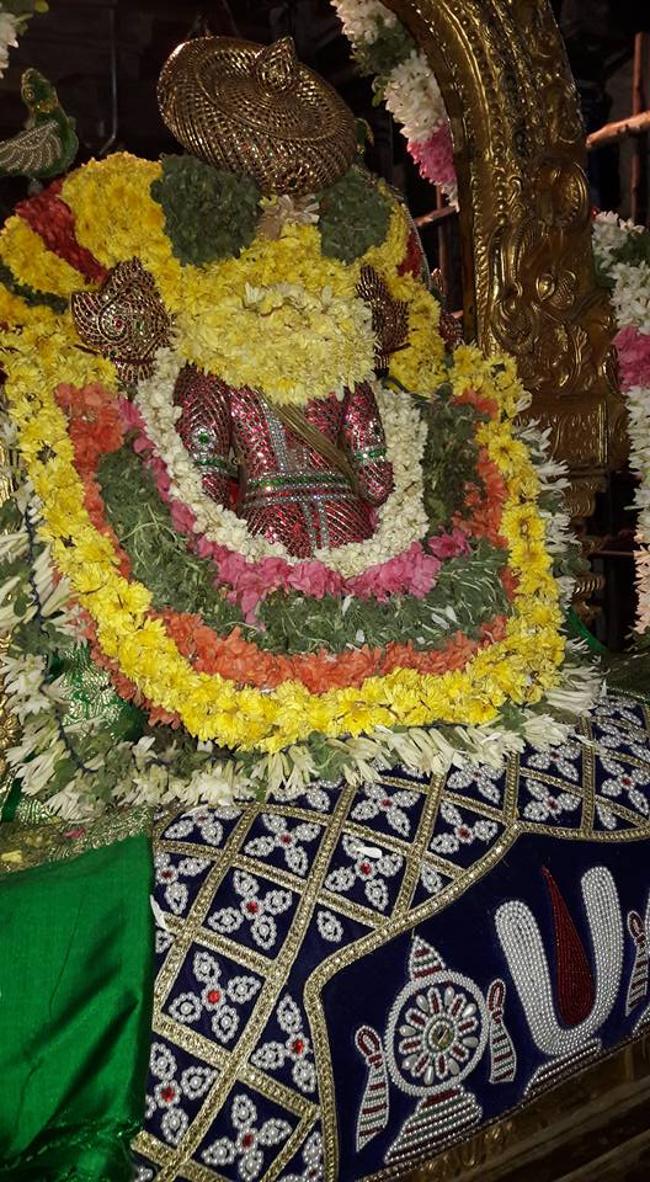 thiruvallur-sri-veeraraghava-perumal5