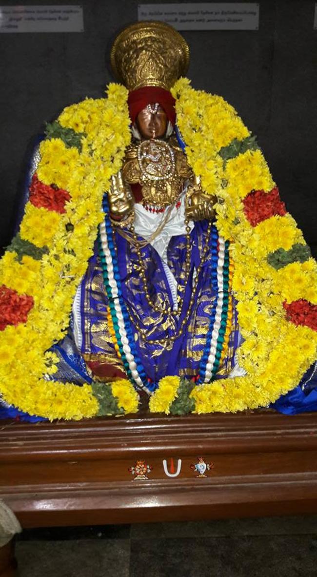 thiruvallur-sri-veeraraghava-perumal6