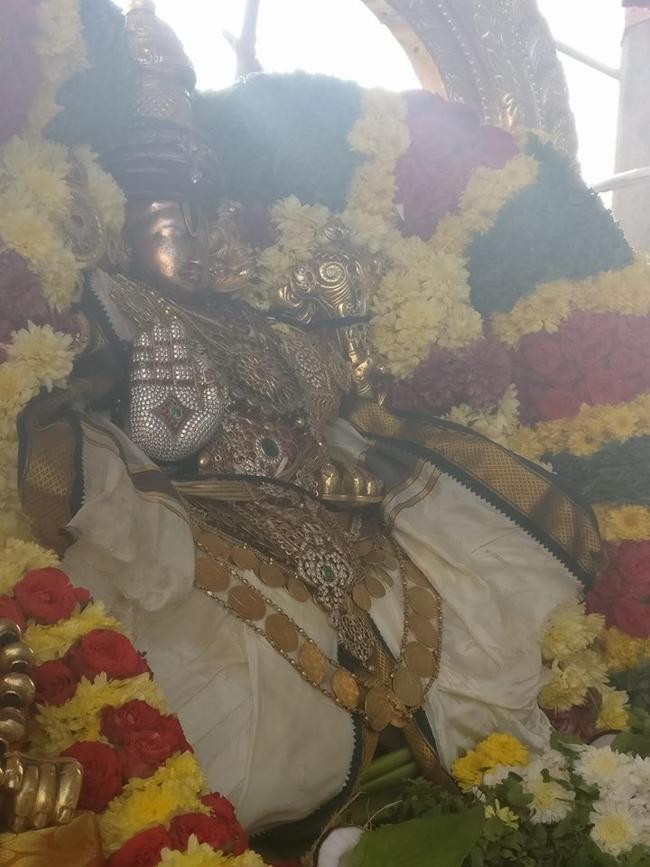 tirupathi-sri-govindaraja-swamy4